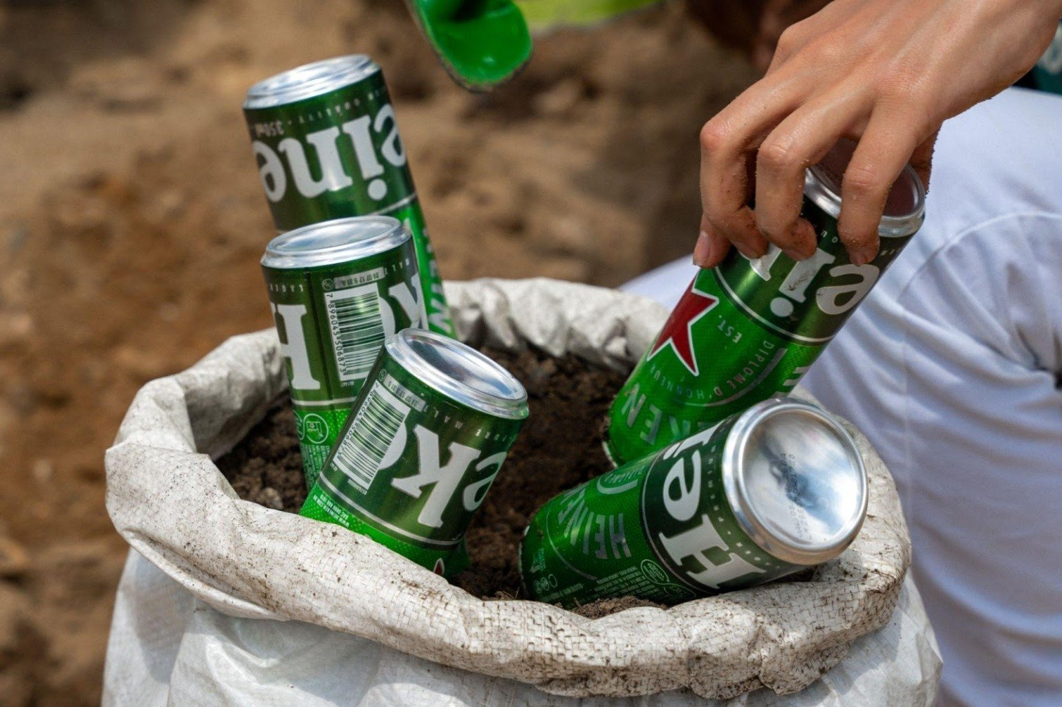 Heineken e grupo Cornélio Brennand criam floresta urbana no Recife