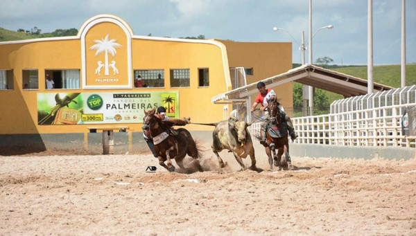 A influência das apostas nas vaquejadas do Nordeste e a ascensão dos vaqueiros como influenciadores de jogos de azar