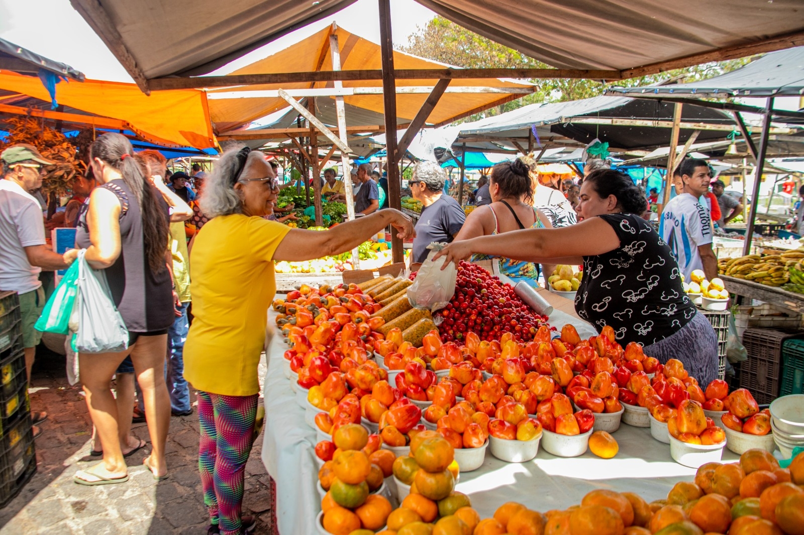 Horário de funcionamento das feiras livres e mercados públicos em Natal no fim de ano