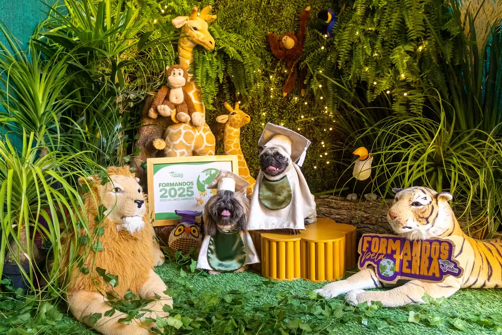 Cães participam de ensaio de formatura em hotel pet de Natal