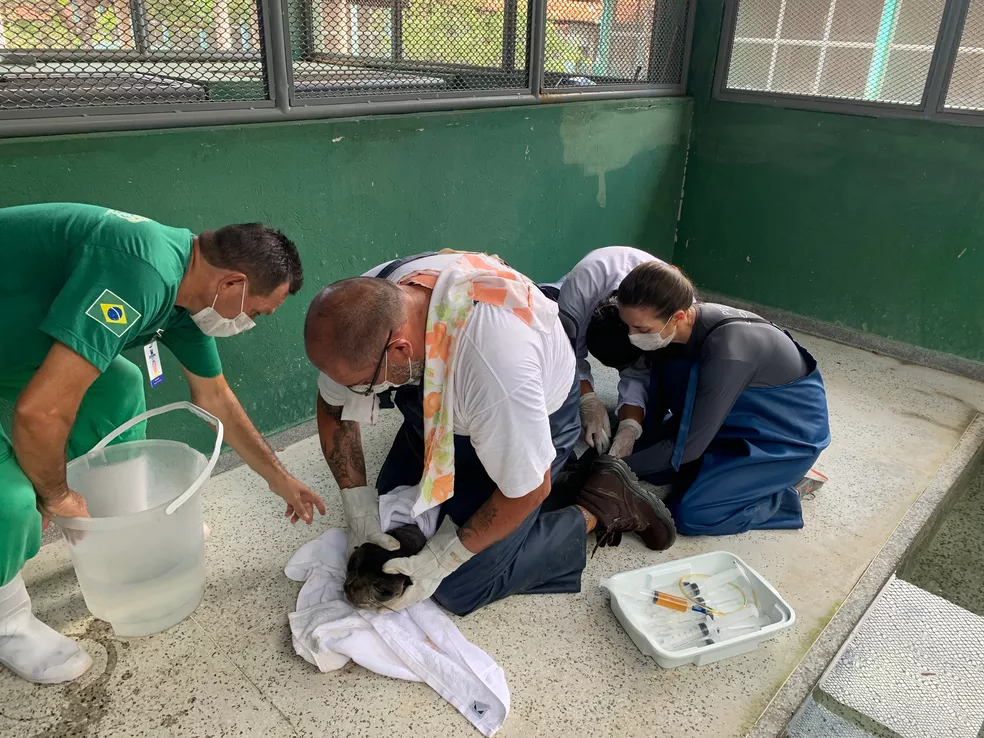 Locais para visitar em 2026 e aprender sobre cuidado com a natureza na Grande São Luís