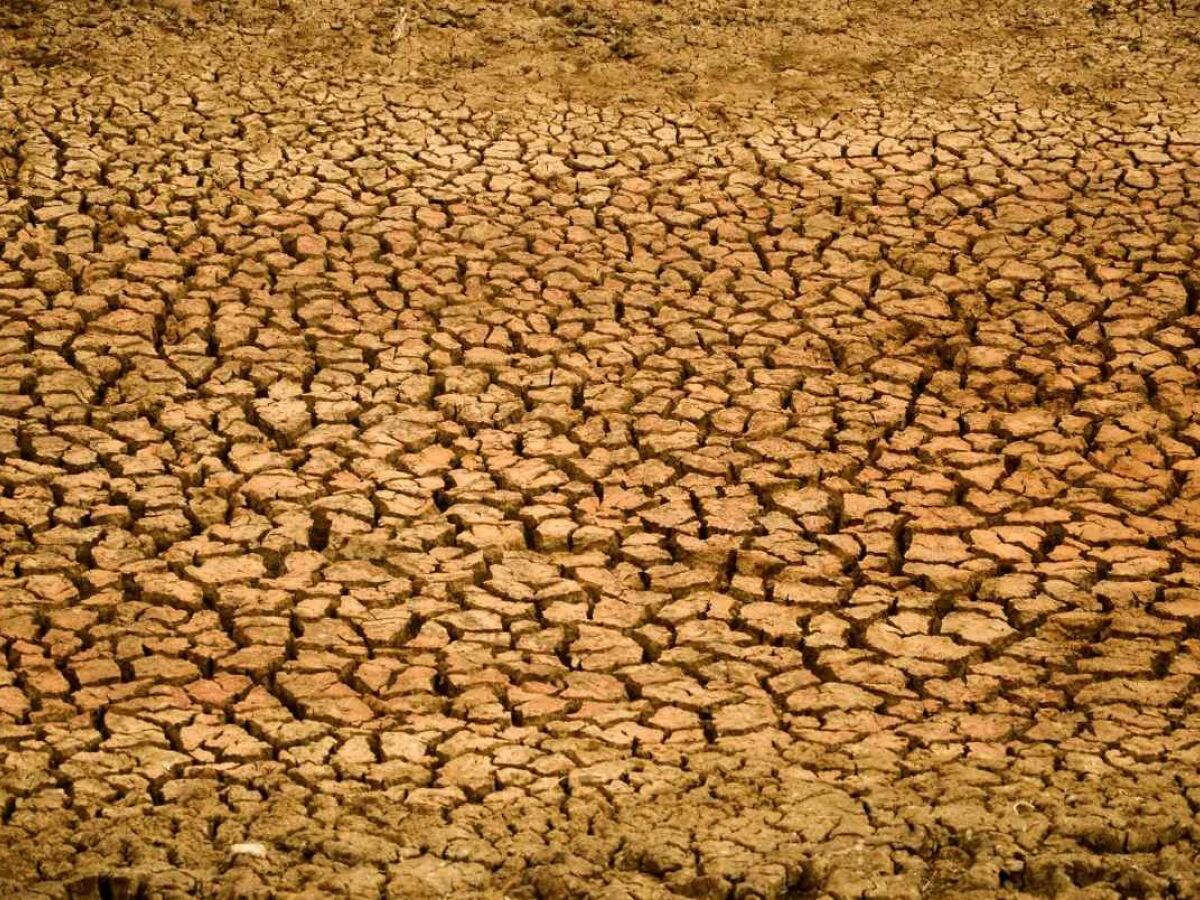 Pernambuco decreta situação de emergência em 107 cidades por escassez de chuvas