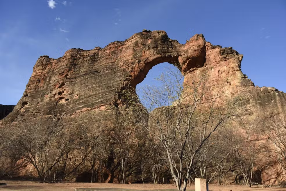 Piauí destaca-se no turismo de natureza e observação de aves no Brasil
