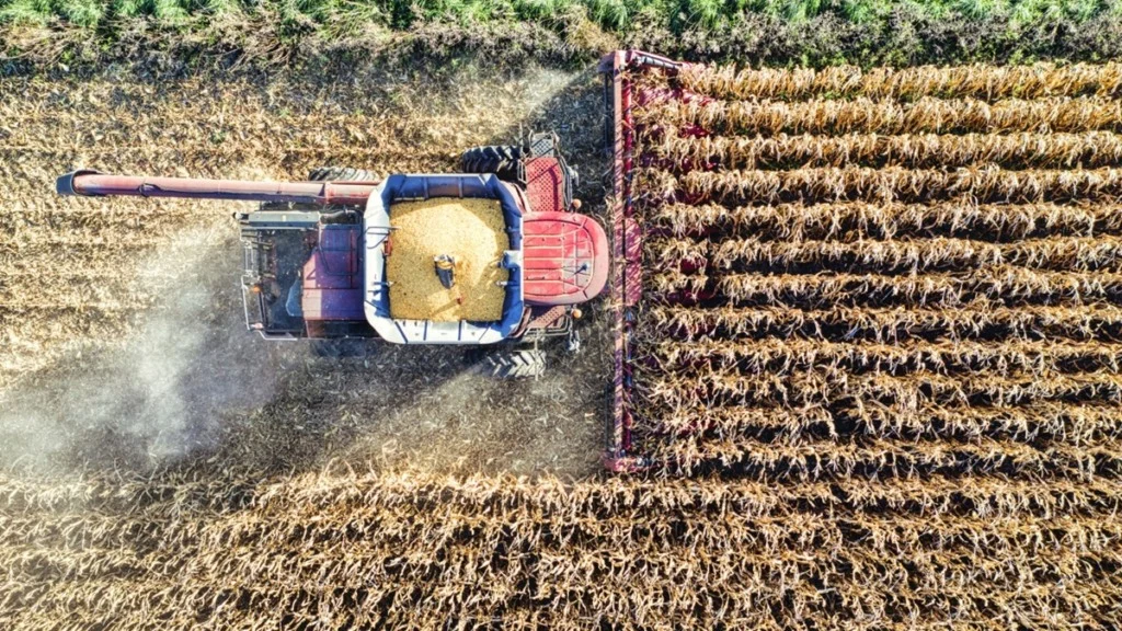 Bahia vê agropecuária impulsionar crescimento do PIB no terceiro trimestre