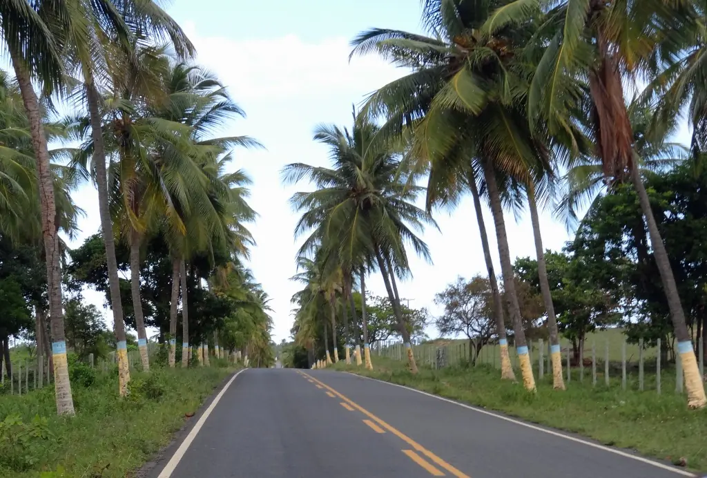 Pesquisa CNT 2025 destaca avanços nas estradas do Nordeste, com Alagoas e Sergipe em destaque
