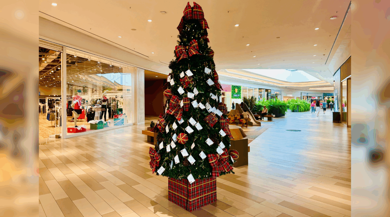 Pedidos de Natal em árvore solidária no parque de João Pessoa