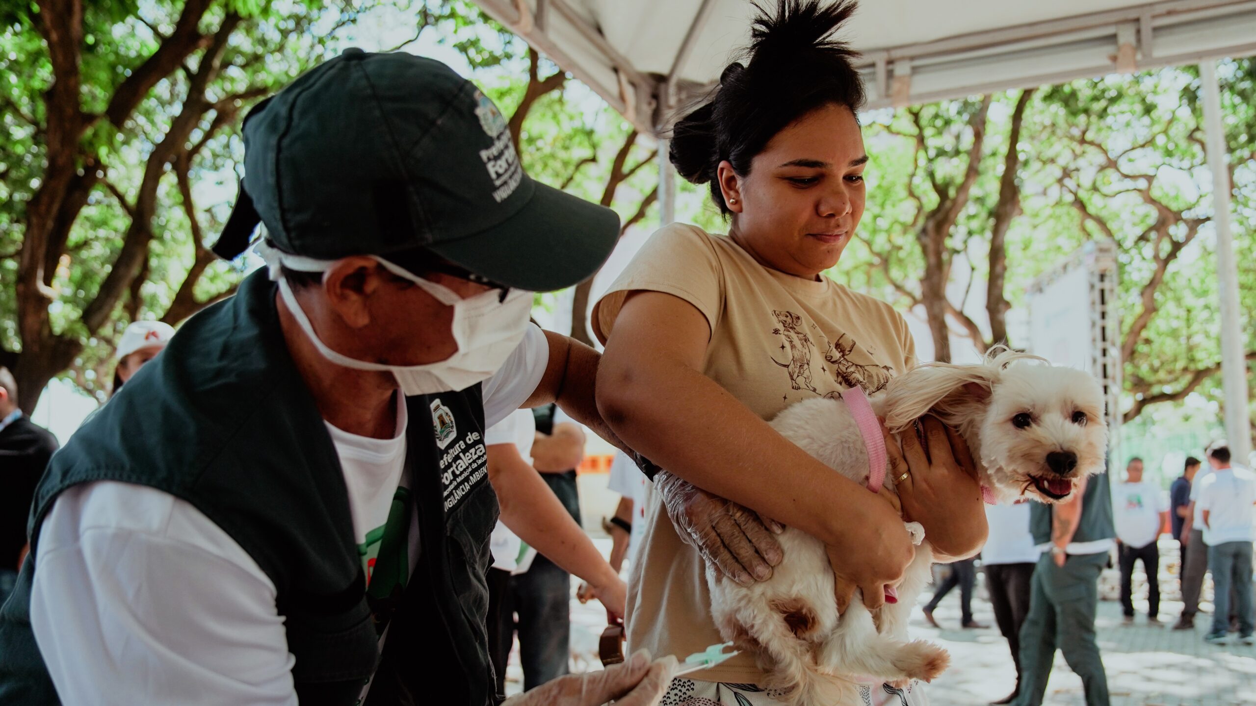 Fortaleza realiza dia d da vacinação antirrábica para cães e gatos neste sábado