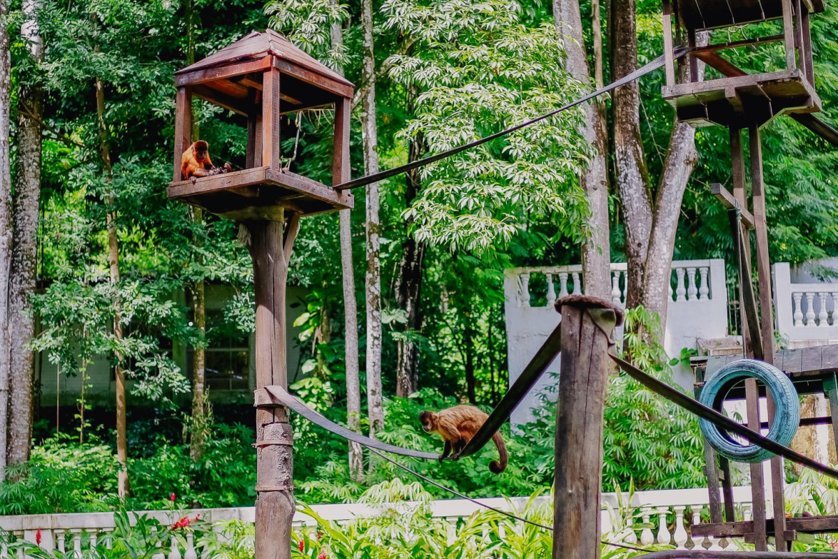 Destinos de natureza impulsionam turismo de detox digital no Brasil