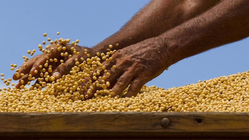 Brasil atualiza regras para entrada de produtos agropecuários nas viagens internacionais