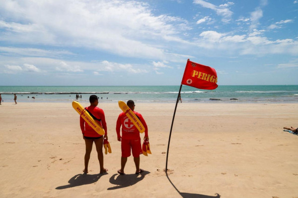 Pernambuco retoma monitoramento de tubarões com microchips após onze anos