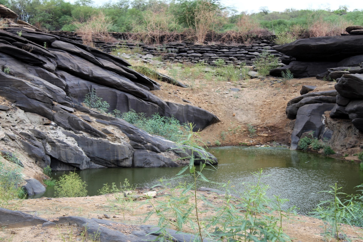 Sítio arqueológico de Rajada preserva gravuras rupestres no Sertão de Pernambuco