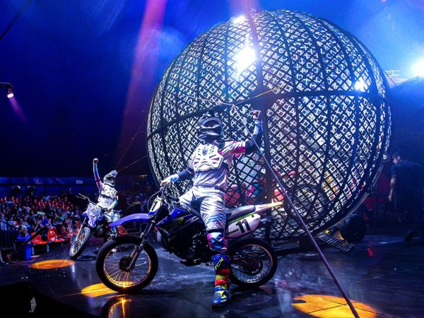 Circo Kroner em Maceió tem temporada diária com variados espetáculos