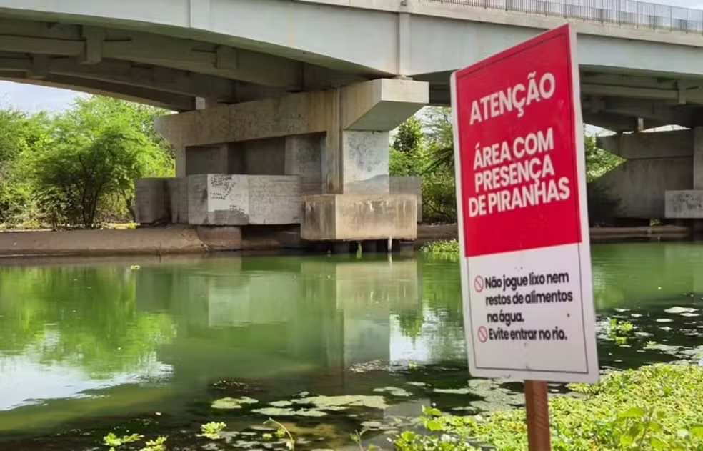 Cidade instala placas para alertar sobre ataque de piranhas em rio no RN
