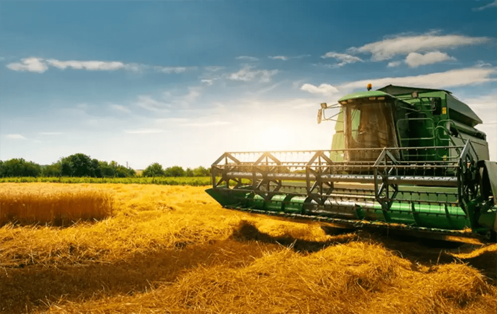 IBGE projeta safra recorde de 346 milhões de toneladas para 2025