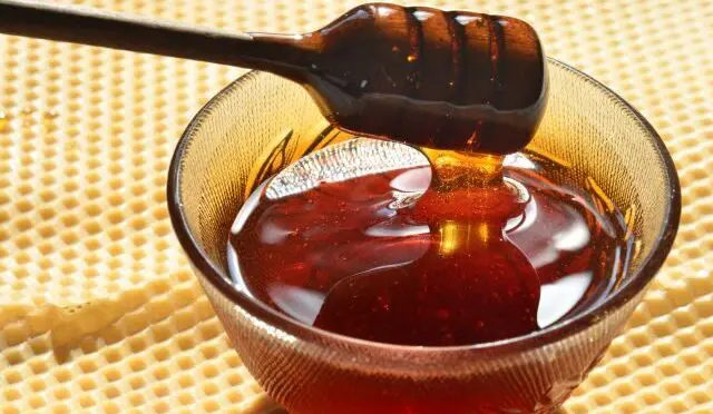 Exportadores de mel enfrentam desafios em 2026 com tarifaço vigente