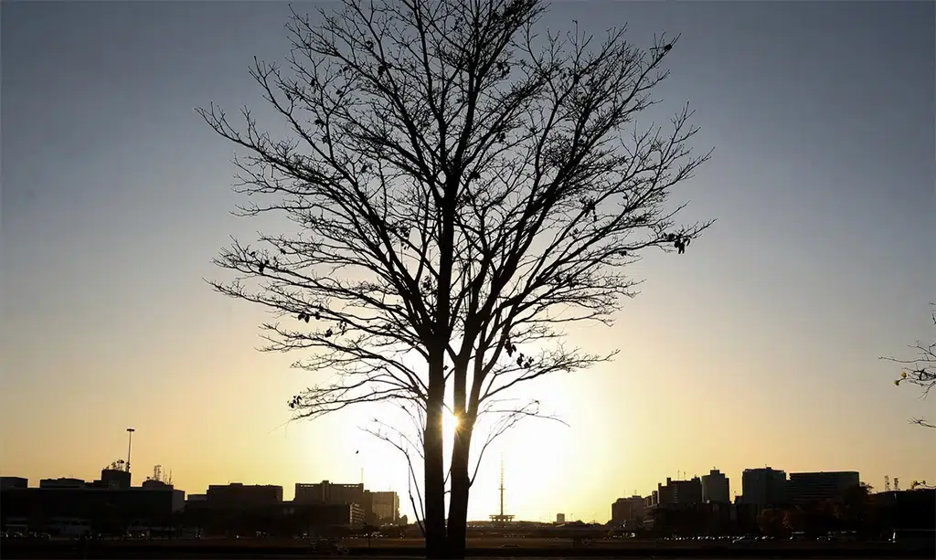 Inmet emite alerta de baixa umidade para 107 cidades da Paraíba