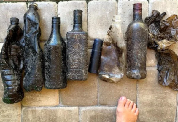 Óleo do Nordeste viajou mais de 8 mil quilômetros até a Flórida, revela pesquisa