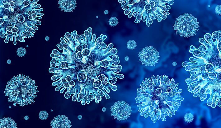 Ministério da Saúde reafirma baixo risco de surto do vírus Nipah no Brasil