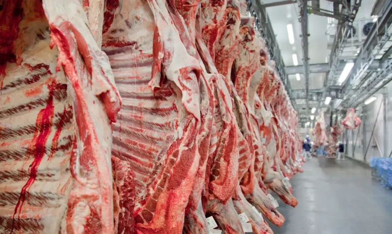 China lidera destino da carne bovina brasileira com exportação recorde em janeiro