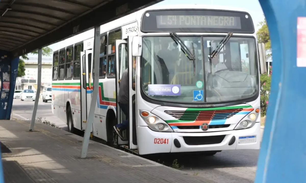 Carnaval de Natal oferece linhas de ônibus gratuitas com operação especial
