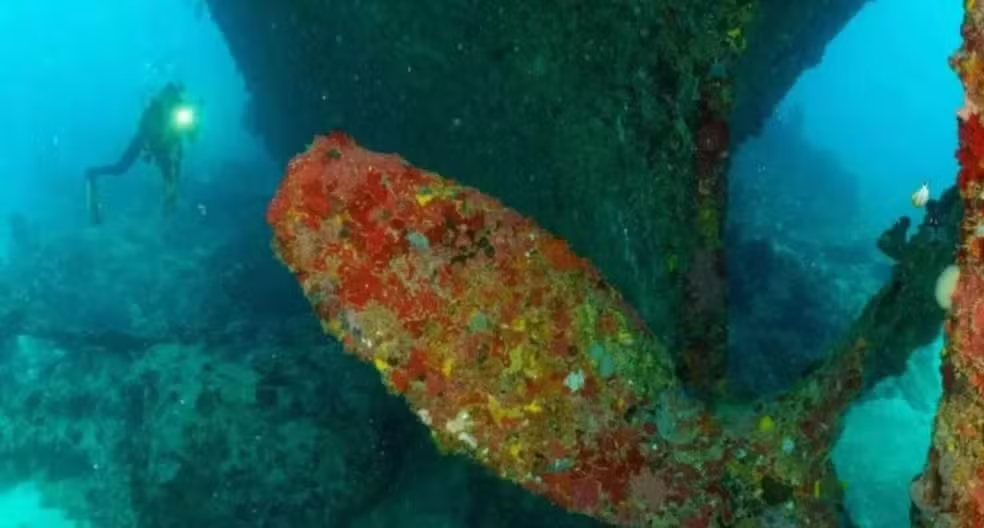 Maranhão recebe projeto para monitoramento e restauração de corais no parque estadual