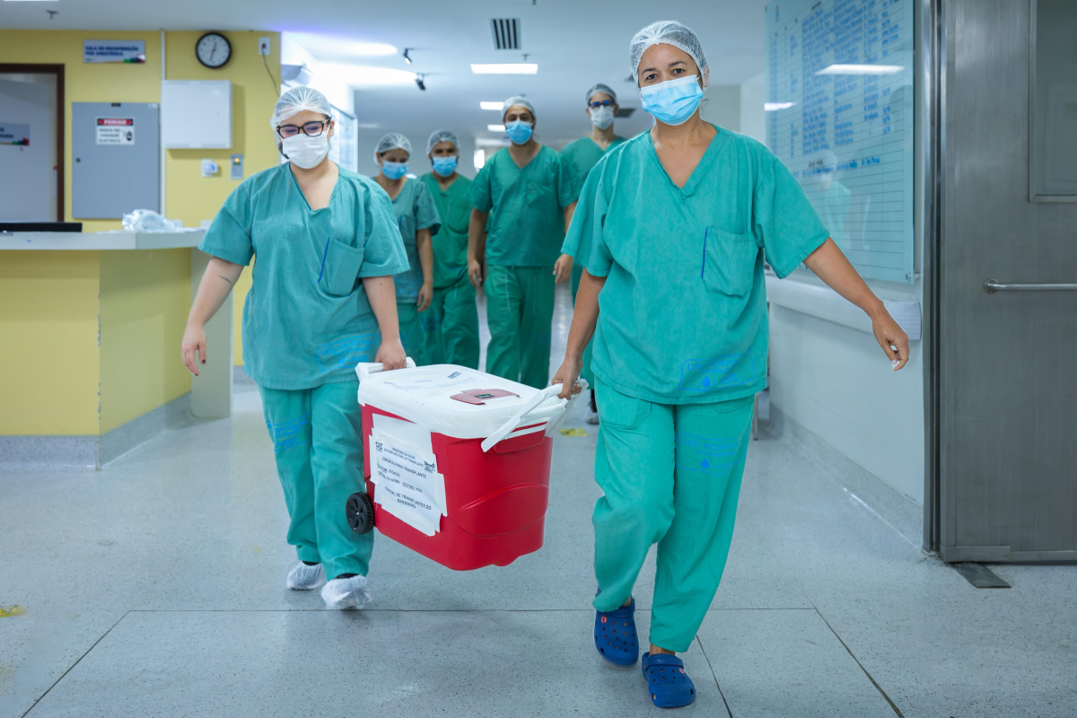 Maranhão realiza primeiro transplante hepático intervivos entre adultos no nordeste