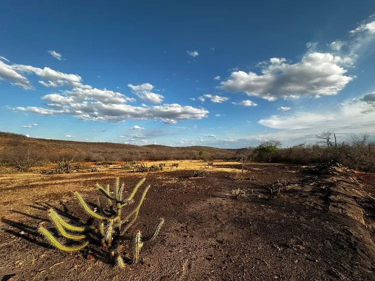 Governo federal reconhece emergência em cidades do Piauí por desastres naturais