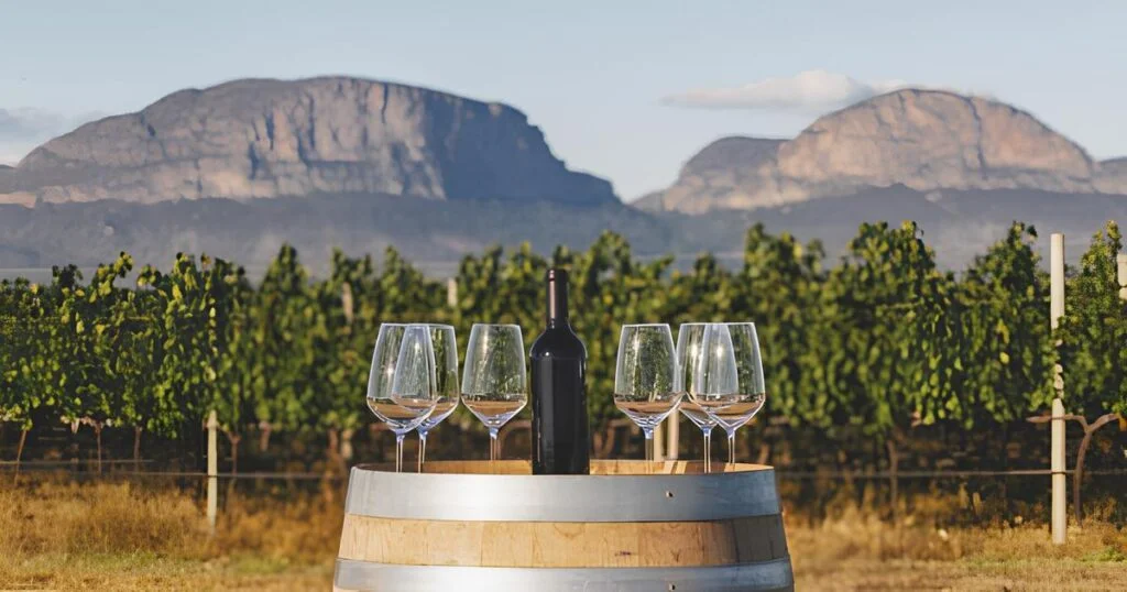 Nordeste se torna fronteira estratégica para crescimento do mercado de vinhos