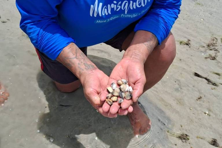 Mudanças climáticas e poluição reduzem tamanho dos mariscos em Pernambuco