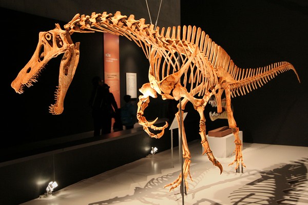 Patrimônio de Volta: Fóssil do dinossauro Irritator será devolvido ao Cariri após 30 anos na Alemanha