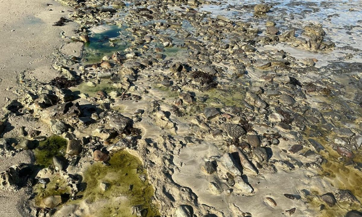 Pescadores cobram ações do poder público após contaminação na praia de São Tomé de Paripe