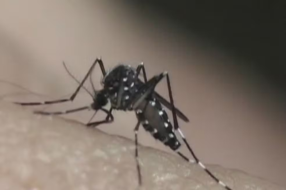 ALERTA NA PARAÍBA: Estado confirma 2.398 casos de dengue e o primeiro óbito pela doença em 2026