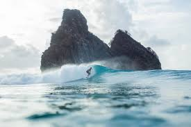 Imersão no santuário: Fotógrafos criam panorâmicas inéditas do fundo do mar de Fernando de Noronha