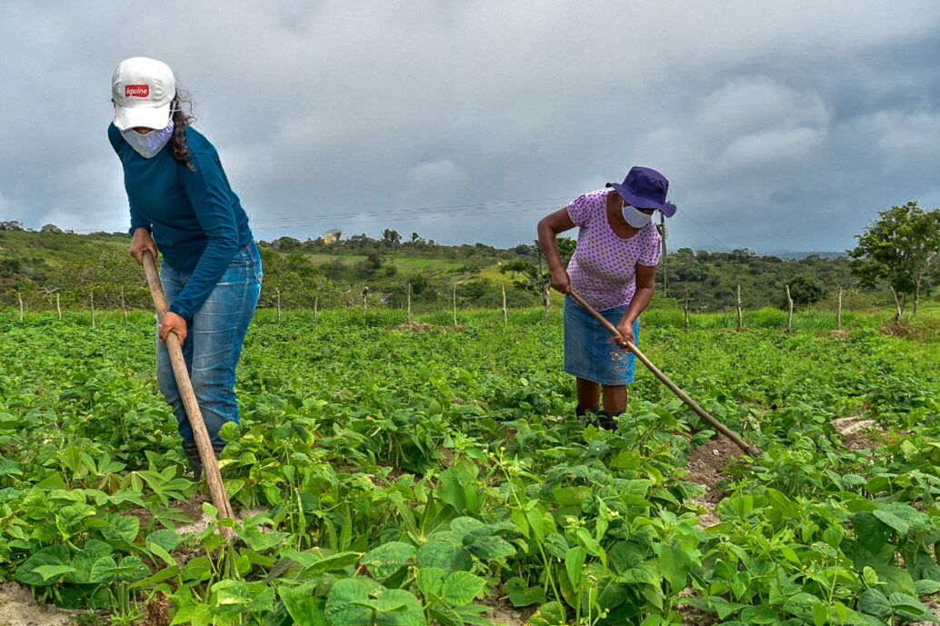 Da seca à fartura: como o microcrédito do BNB transformou o semiárido em potência de alimentos orgânicos