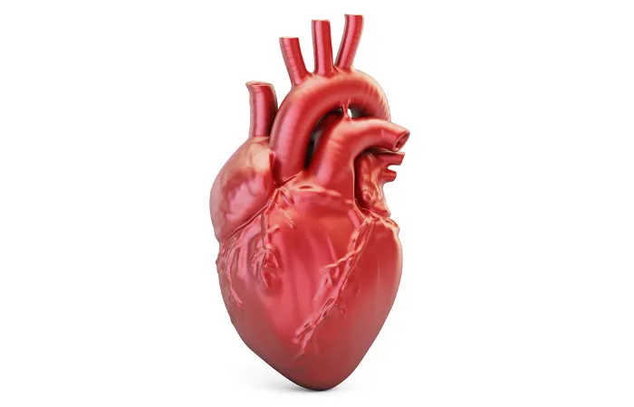 Saúde Cardiovascular Paraíba 2026: Estado registra média de 9 mortes por dia em 2025